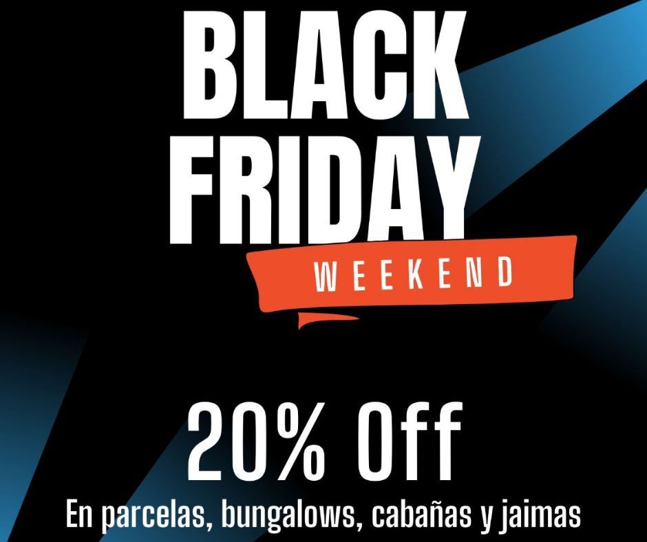black friday ofertas web